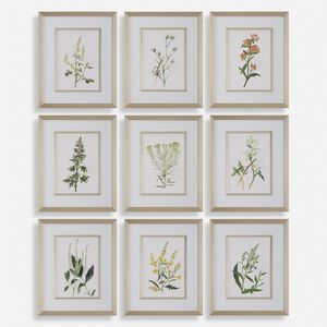 Botanical Flowers 21.38 X 17.38 inch Framed Prints, Set of 9