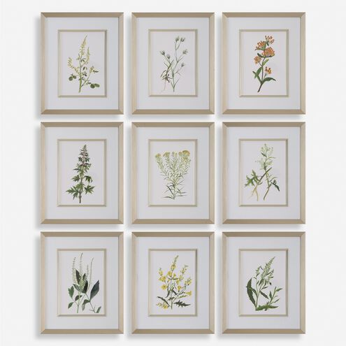Botanical Flowers 21.38 X 17.38 inch Framed Prints, Set of 9