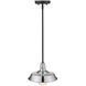 Burry 1 Light 10 inch Satin Nickel Exterior Convertible Pendant
