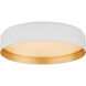 Shaw LED 17 inch Matte White Flush Mount Ceiling Light, Large