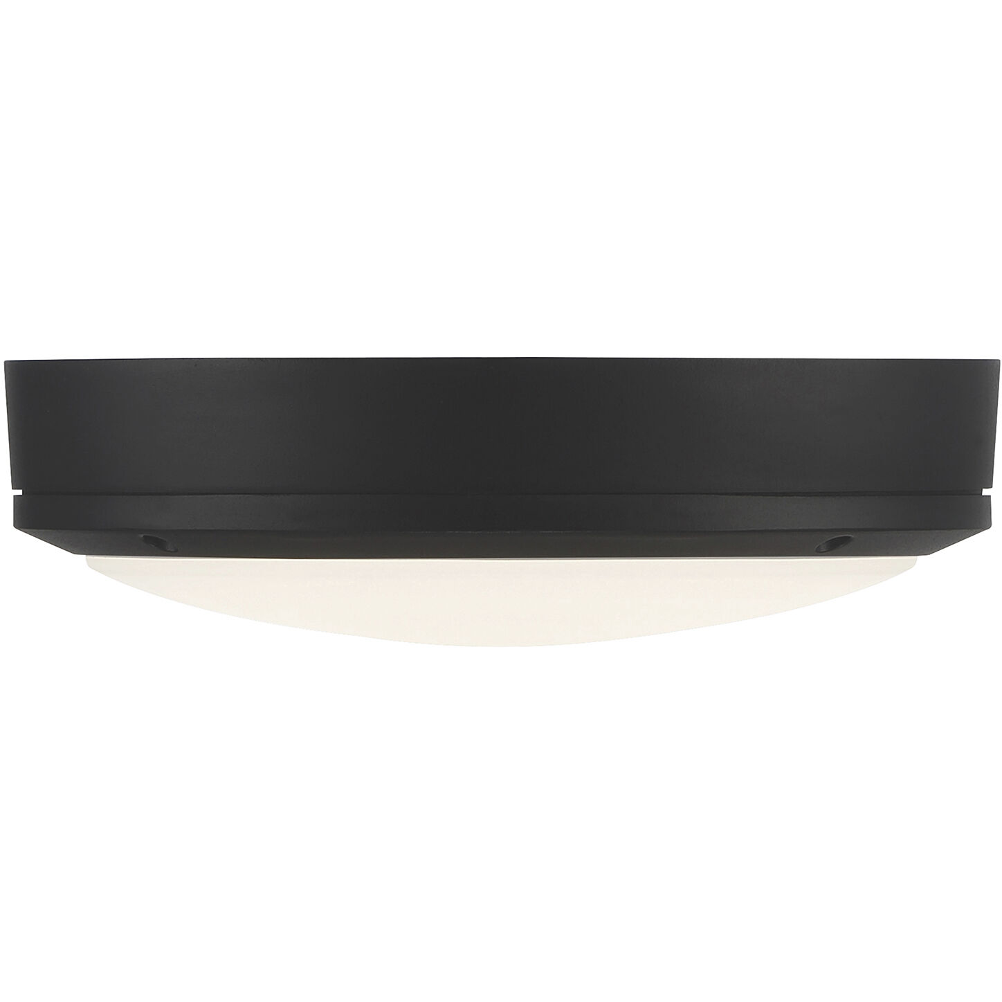 Rockaway LED 11 inch Matte Black and Frosted Outdoor Flush Mount