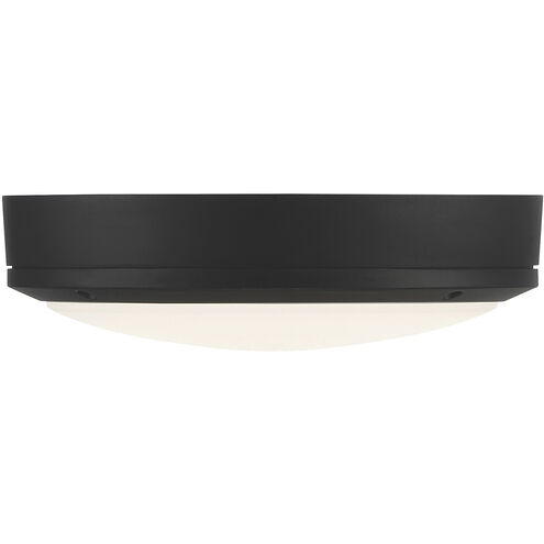 Rockaway LED 11 inch Matte Black and Frosted Outdoor Flush Mount