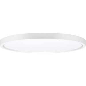 LED Flushmounts LED 12 inch White Flush Mount Ceiling Light