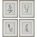 Heirloom Blooms 30.38 X 26.38 inch Framed Prints, Set of 4