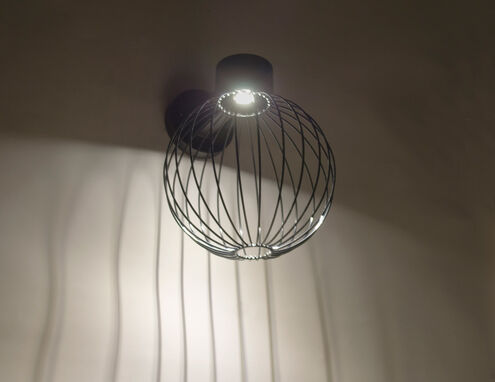Sultana LED 14 inch Black Outdoor Sconce