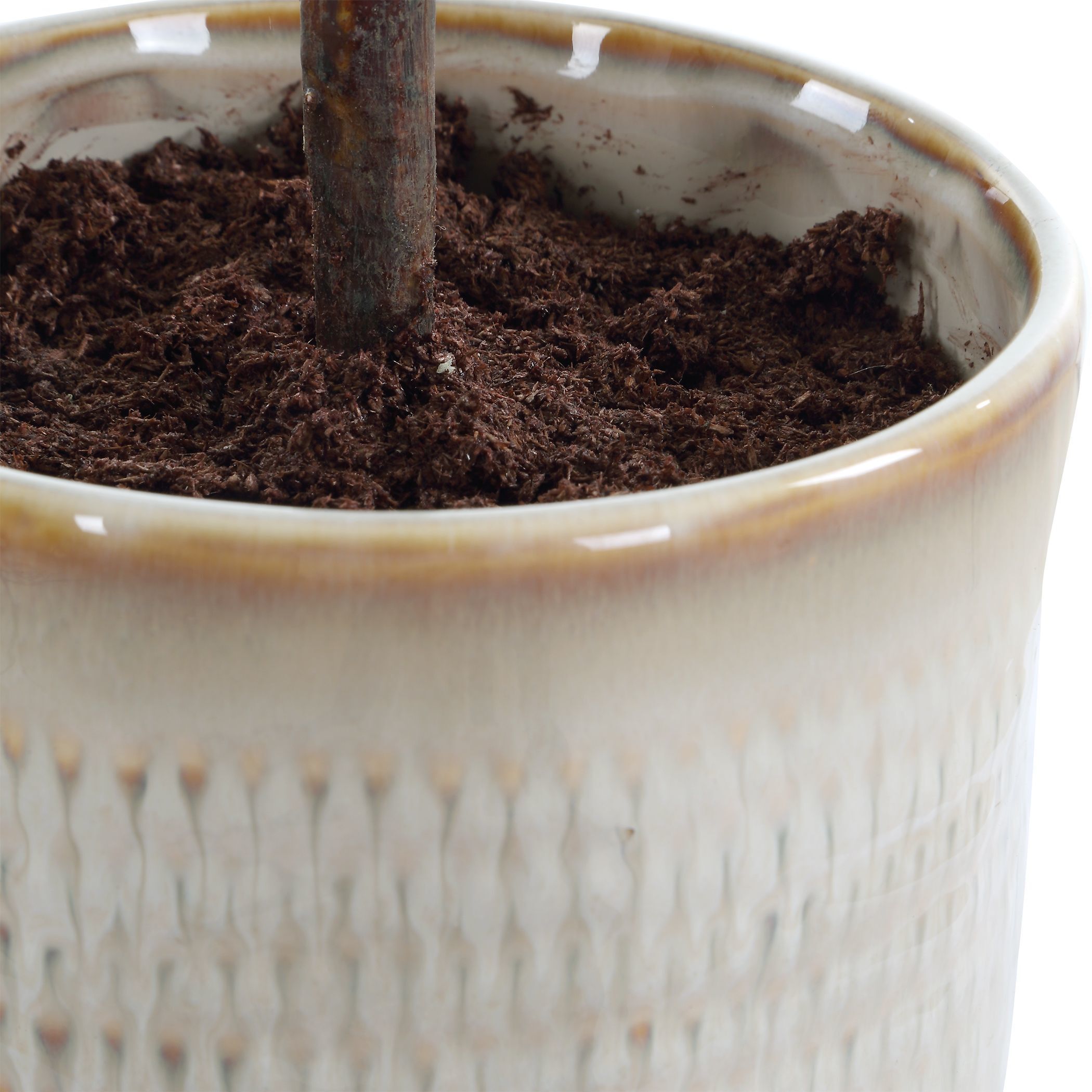 Solea Olive Neutral Tan and Green Accent & Vase