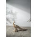 Morara White Objects