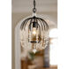 Voliere 1 Light 12.5 inch Matte Black Pendant Ceiling Light