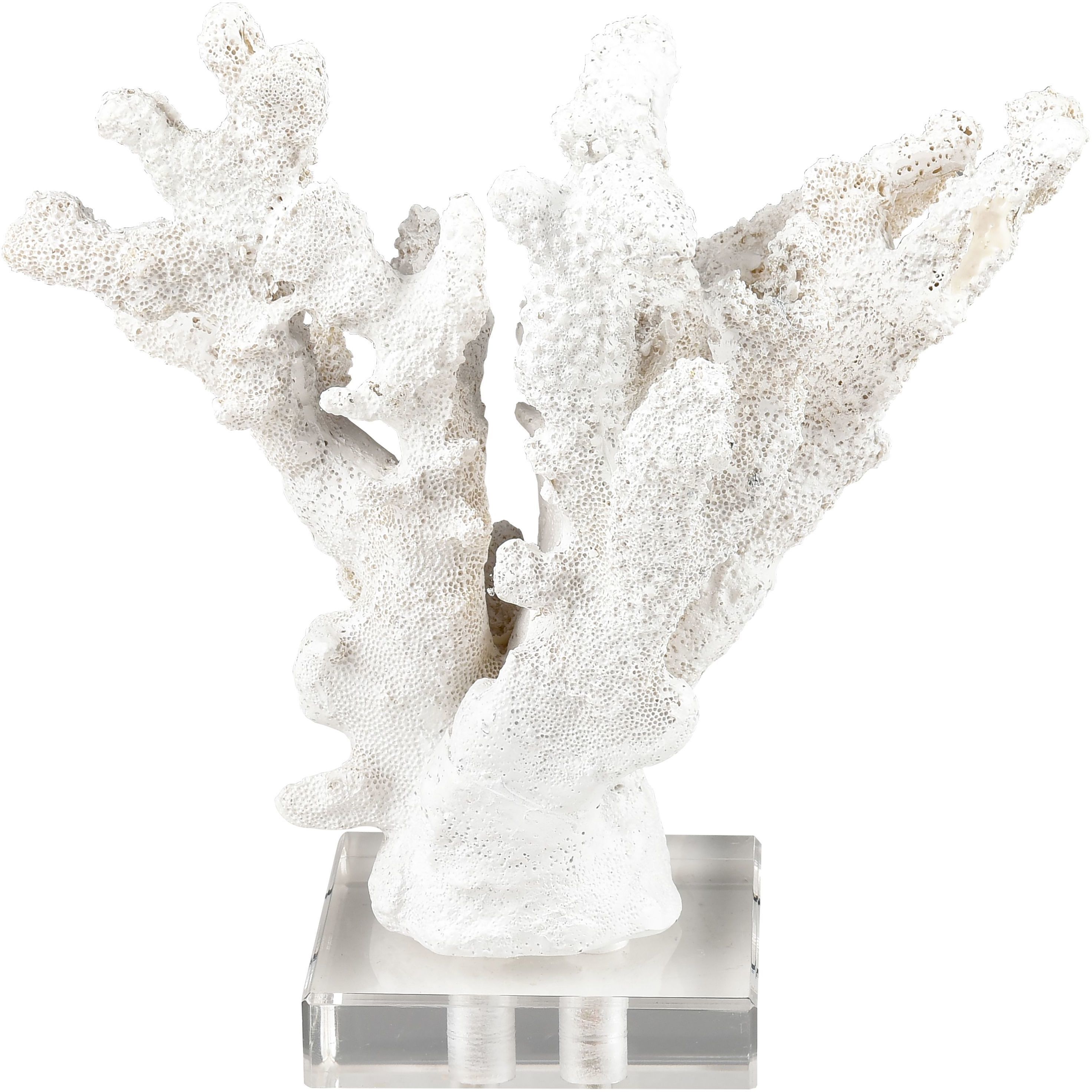 Coral 11.75 X 8.25 inch Sculpture, Set of 2