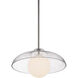 Dayana LED 15 inch Clear Pendant Ceiling Light