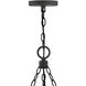 Open Air Sawyer 30 inch Black Outdoor Hanging in Non-LED