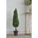 Boxwood Green Faux Plant