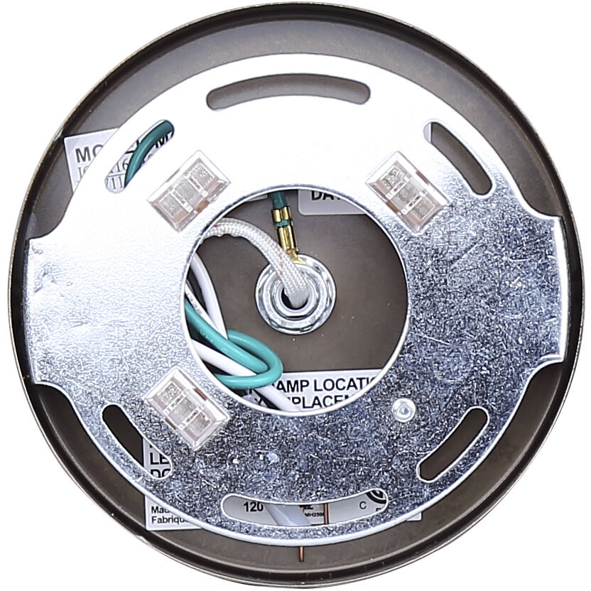 Elsee 1 Light Black/Gold Track Lighting Ceiling Light