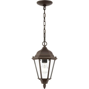 Bakersville 1 Light 7.88 inch Outdoor Pendant/Chandelier