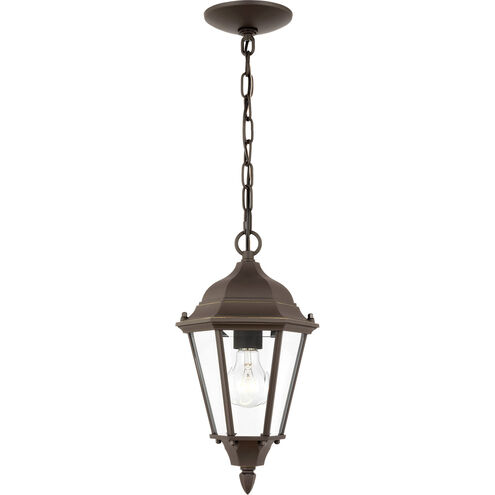 Bakersville 1 Light 7.88 inch Antique Bronze Outdoor Pendant