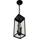 Windsor 4 Light 8 inch Black Outdoor Hanging Light