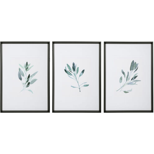 Simple Sage 37 X 26 inch Watercolor Prints, Set of 3