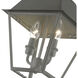 Wentworth 2 Light 9 inch Charcoal Outdoor Pendant Lantern, Medium