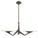 Down the Wrong Path 2 Light 59 inch Brontourage Linear Pendant Ceiling Light