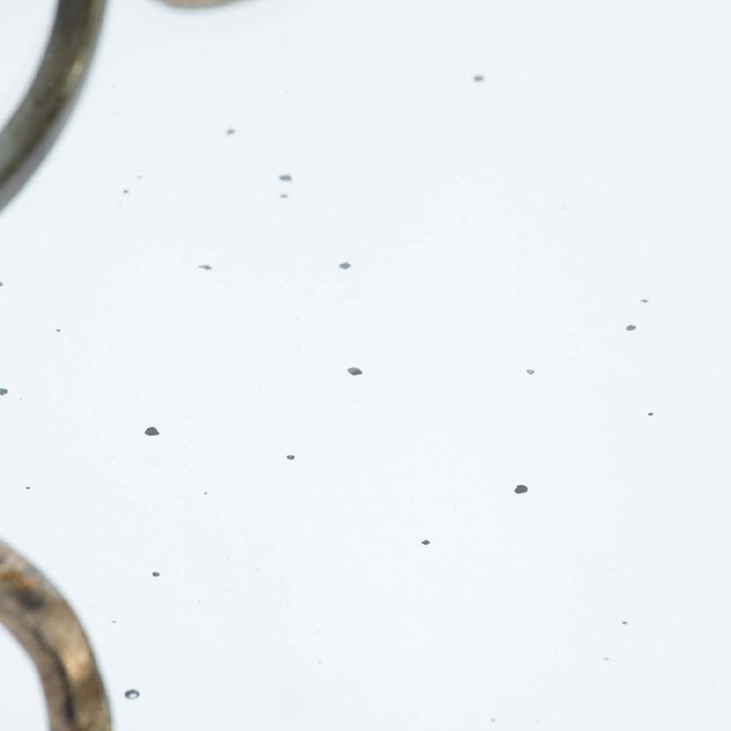 Valentina Silver Tray