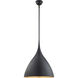 AERIN Agnes 1 Light 18 inch Matte Black Pendant Ceiling Light, Medium
