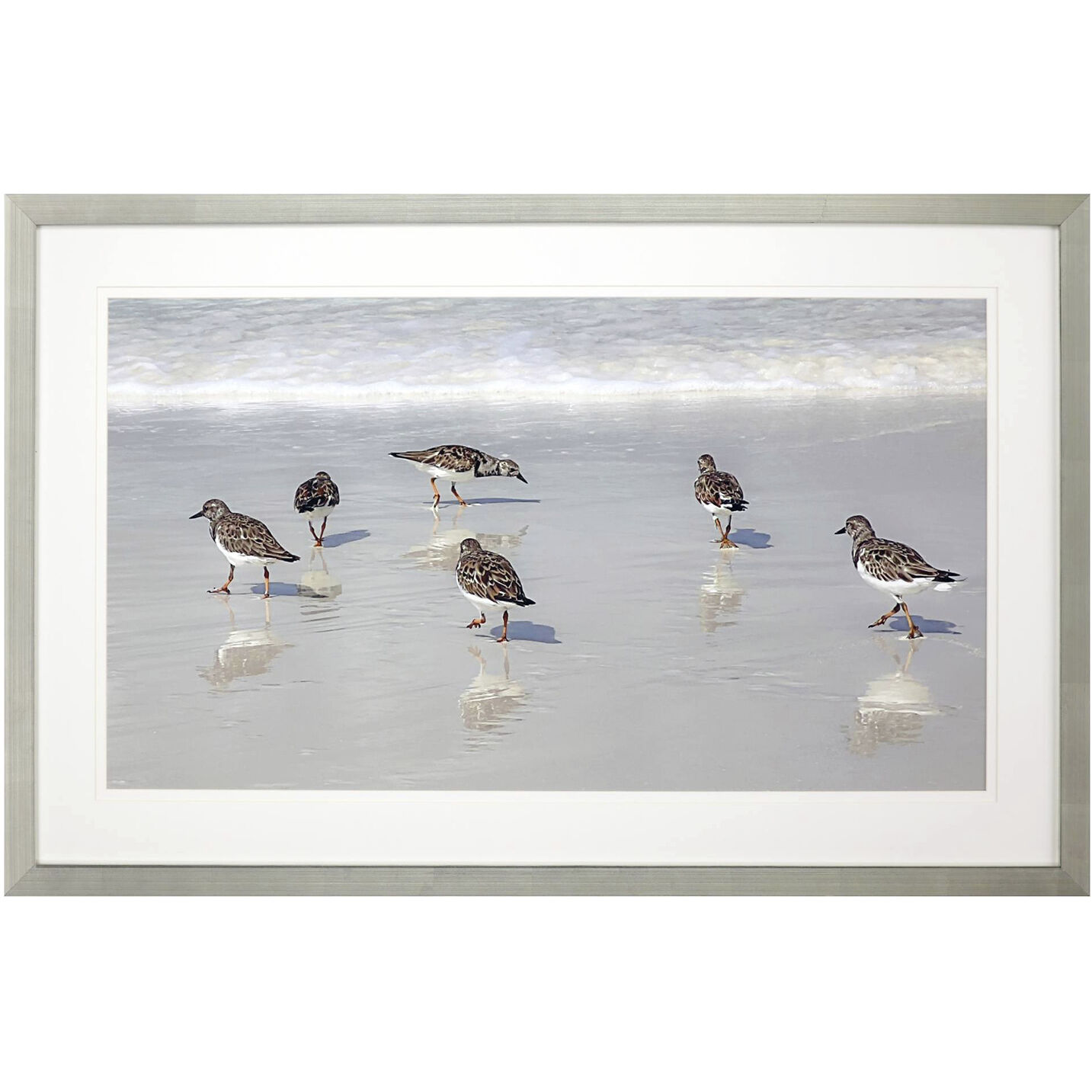 Animals White and Blue and Brown Framed Art