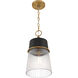 Stamford 1 Light 9 inch Legacy Brass and Dark Matte Black Pendant Ceiling Light