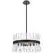 Serephina 10 Light 20 inch Black Pendant Ceiling Light