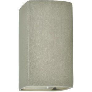 Ambiance Rectangle LED 9.5 inch Celadon Green Crackle Outdoor Wall Sconce, Small