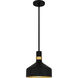 Arbor 1 Light 10 inch Matte Black Mini Pendant Ceiling Light, Small