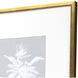 Echinacea / Leaf Study Blue and White Framed Art