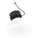 Pearl Bright White Reflector / Bright White Flange LED Round Adjustable Slot Retrofit in 4000K, 4" Retrofit