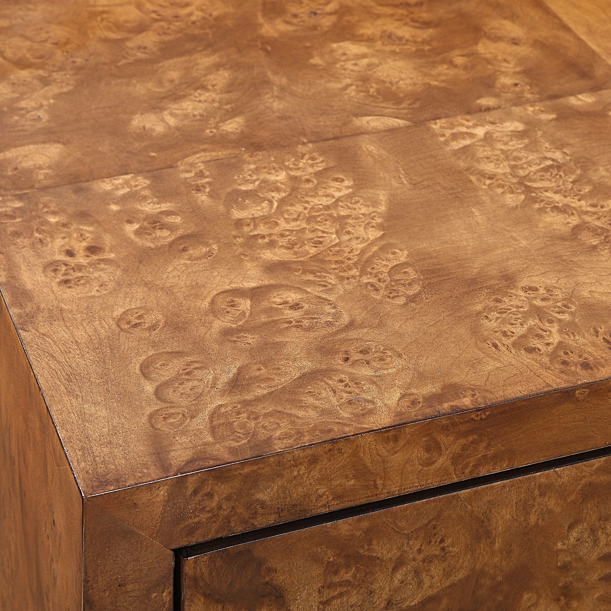 Jethro Burl Veneer and Gold 2 Door Cabinet