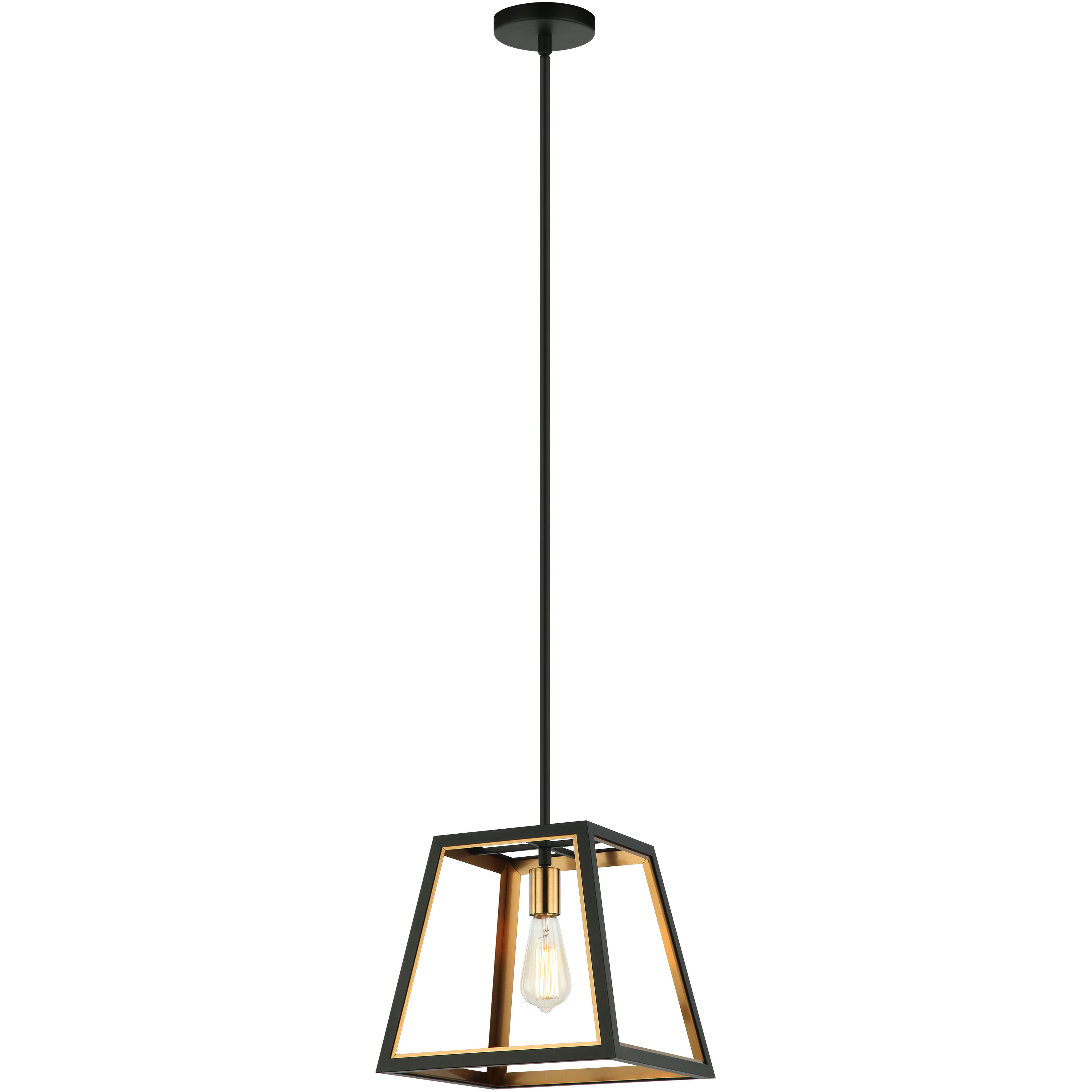 Rosalie 1 Light 12 inch Matte Black and Aged Gold Brass Pendant Ceiling Light
