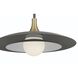 Welsh LED 24 inch Gray Pendant Ceiling Light in Grey