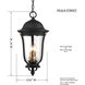 Peale Street 4 Light 12.13 inch Sand Coal And Vermeil Gold Outdoor Hanging Light, The Great Outdoors