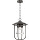 Erlenmeyer 1 Light 12.1 inch Coastal Oil Rubbed Bronze Outdoor Pendant