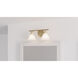 Ira 2 Light 16 inch Weathered Brass Bath Light Wall Light