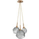 Gem 3 Light 13.50 inch Chandelier