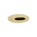 Signature Polished Brass Recessed Lighting Trim