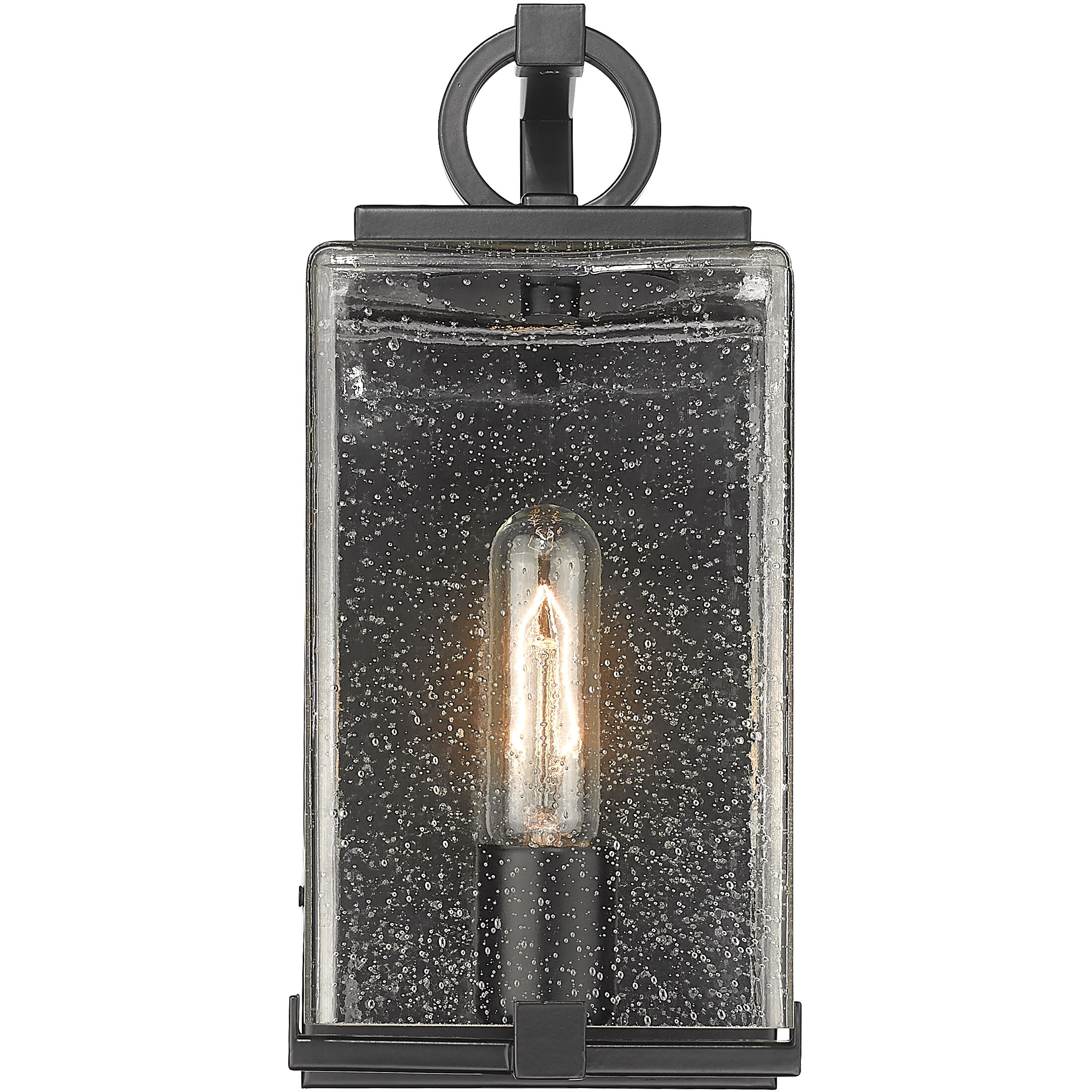 Sana 1 Light 12.75 inch Black Outdoor Wall Light