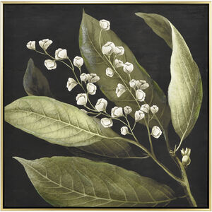 Botanical Study Green with Black and Gold Framed Wall Art, I