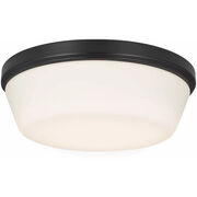 Fan Light Kits