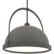 Atlas 1 Light 21.7 inch Natural Iron and Natural Iron Pendant Ceiling Light, Large