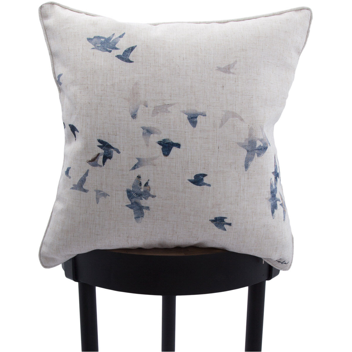 Flight 20 inch Multi-Color Pillow