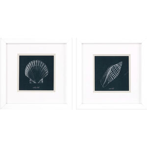 Shell Study on Teal Blue and Black and White Framed Art