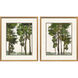 Tree Canopy Green and Beige and Brown and Neutral Framed Art