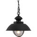 Harwich LED 10 inch Textured Black Outdoor Pendant