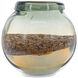 Lovell 7.1 X 6.7 inch Vase