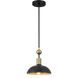 Biloxi 1 Light 10.63 inch Coal And Weathered Antique Brass Pendant Ceiling Light
